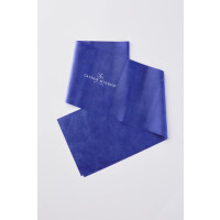 Gaynor Minden Resistance Bands Marine - Extrastark
