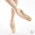 Gaynor Minden Lyra Ballett Spitzenschuh Premium – Low Vamp